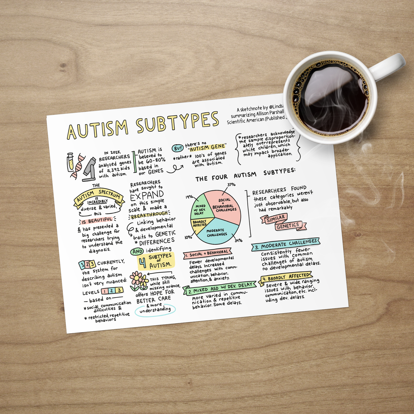 Printable PDF Download: Autism Subtypes | Sketchnote
