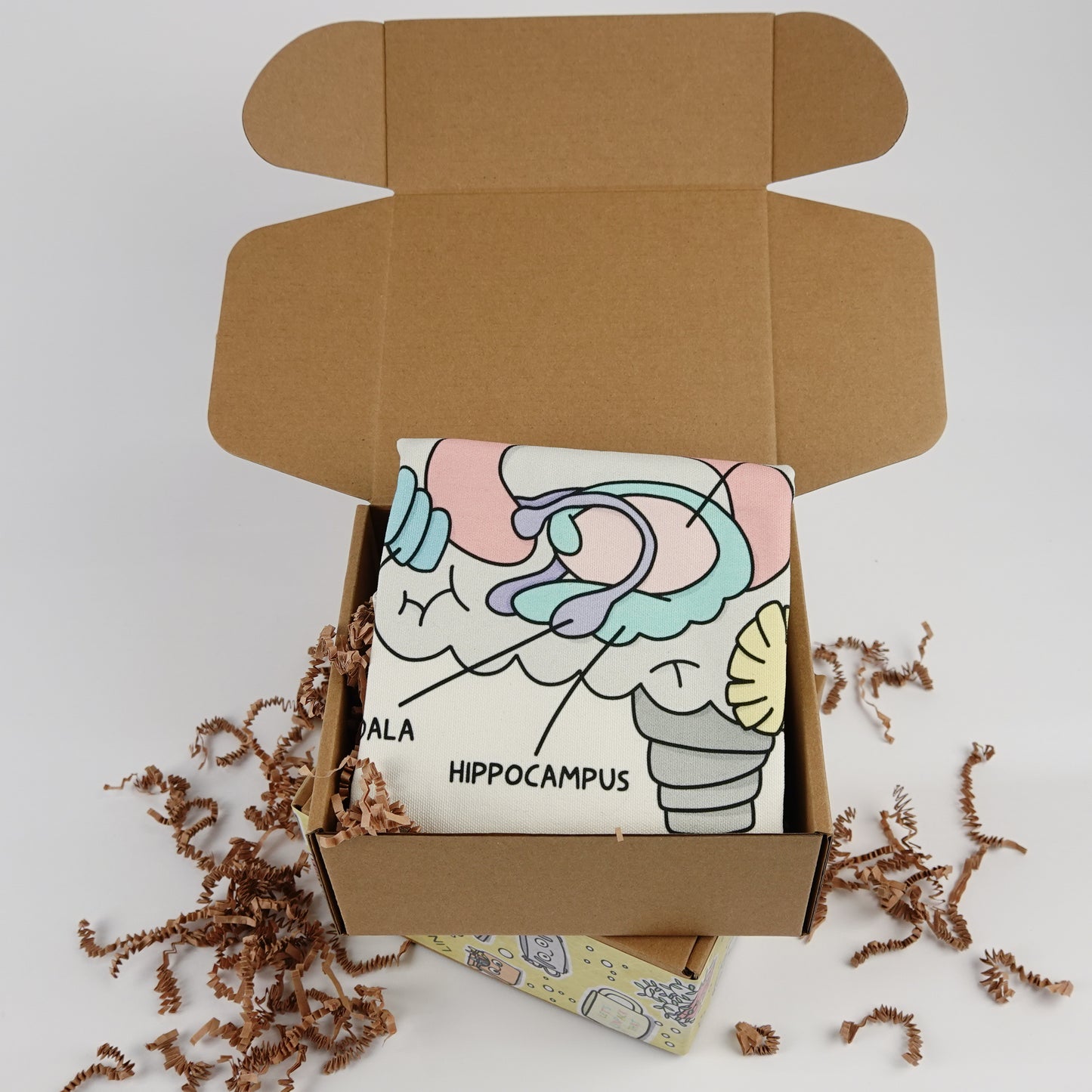 Pillowcase: Brain Anatomy | Resource for Home or Office