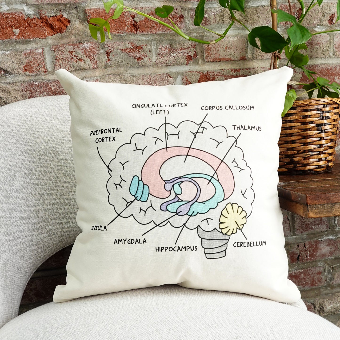 Pillowcase: Brain Anatomy | Resource for Home or Office