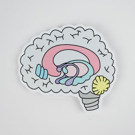 Sticker: Brain Anatomy Illustrated - Pastel Neuroscience Sticker