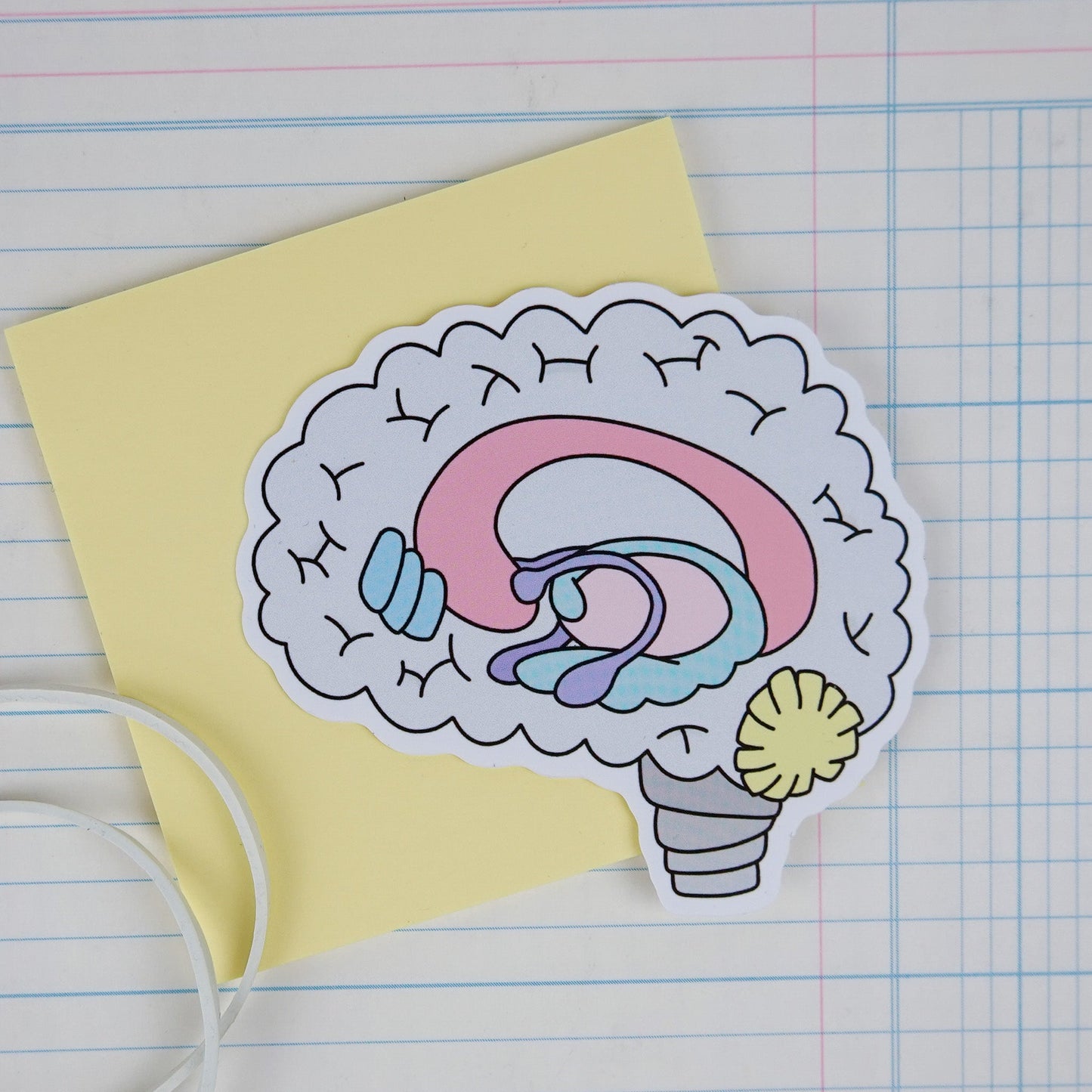 Sticker: Brain Anatomy Illustrated - Pastel Neuroscience Sticker