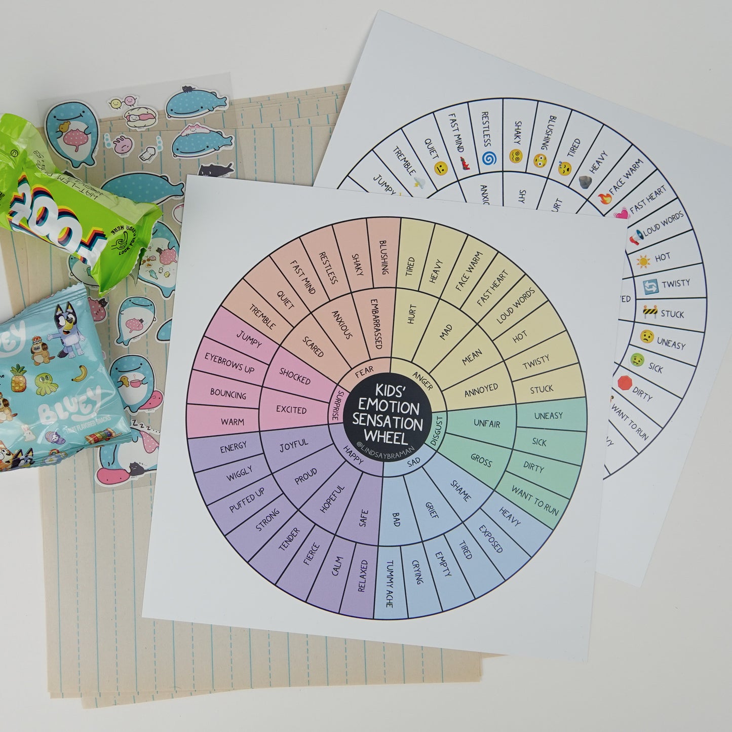 Two-Sided Fidget-Proof Kids' Emotion Sensation Wheel | Extra Durable and Waterproof