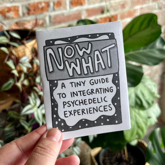 Mental Health Zine: Now What | A Tiny Guide for Integration