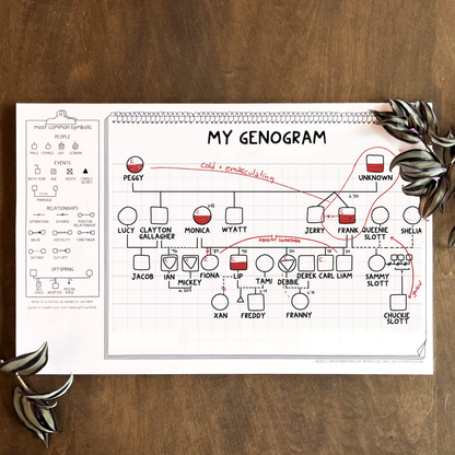 Counseling Tool: Genogram Template Tearaway Notepad | An Accessible Approach to Genograms