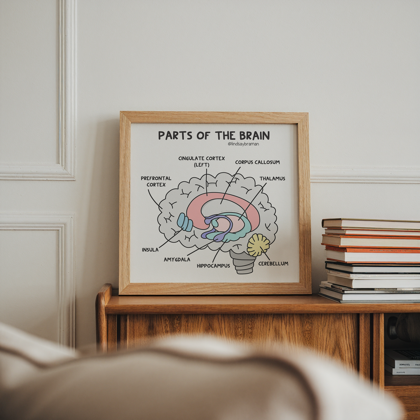 Art Print: Learning About the Brain (Anatomy)