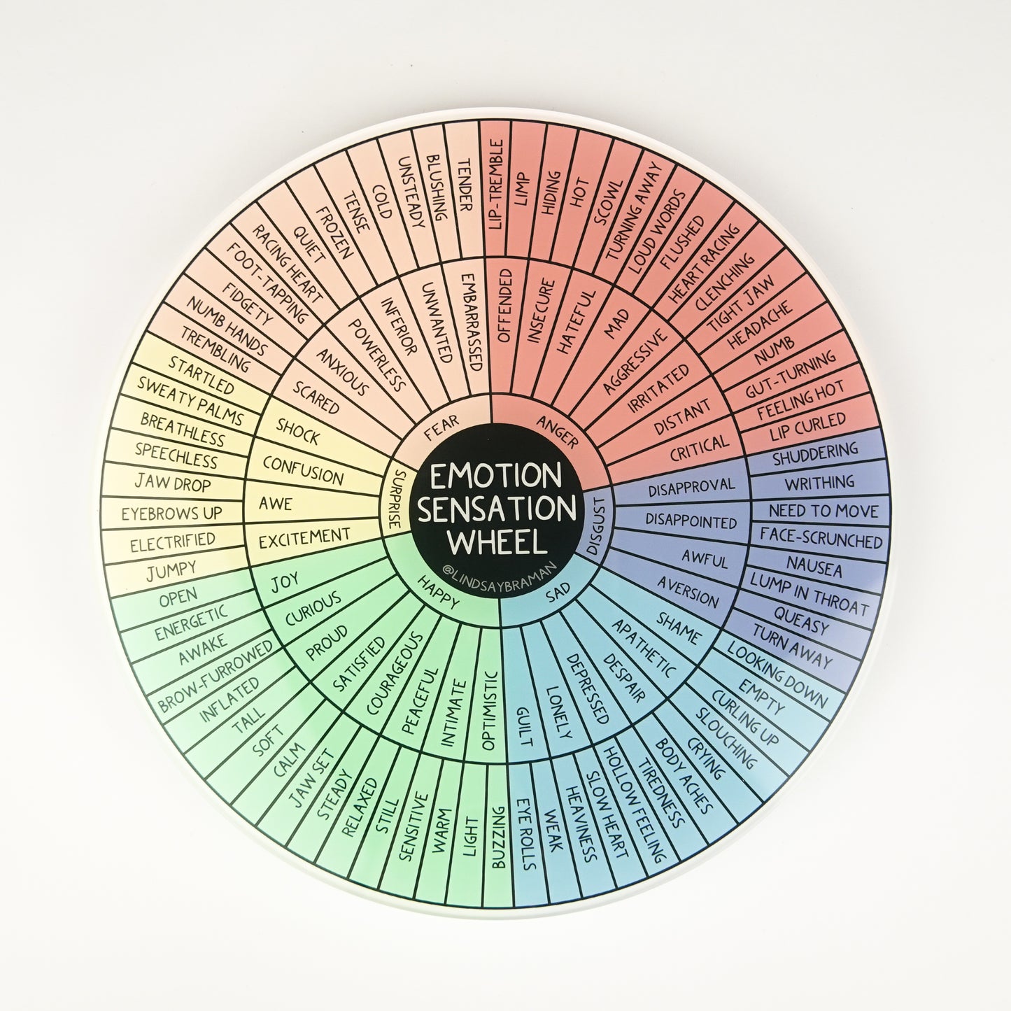 Emotion Sensation Wheel: Accessible Version | 7" Rigid Acrylic Disk