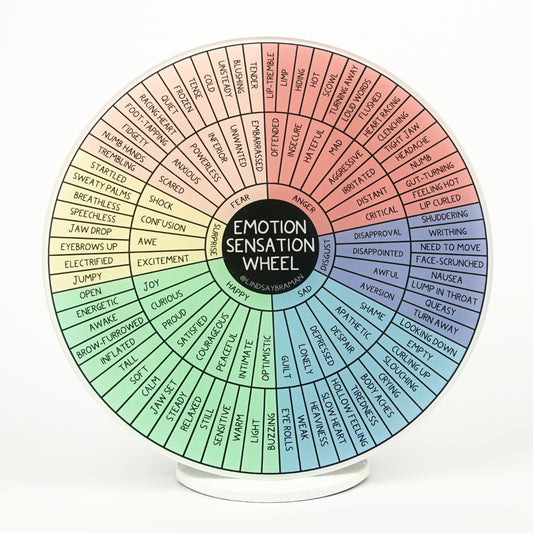 Emotion Sensation Wheel: Accessible Version | 7" Rigid Acrylic Disk