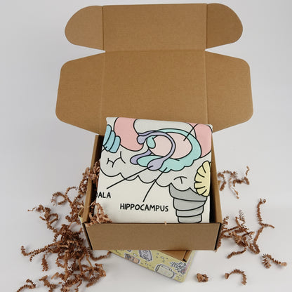 Pillowcase: Brain Anatomy | Resource for Home or Office