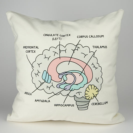 Pillowcase: Brain Anatomy | Resource for Home or Office