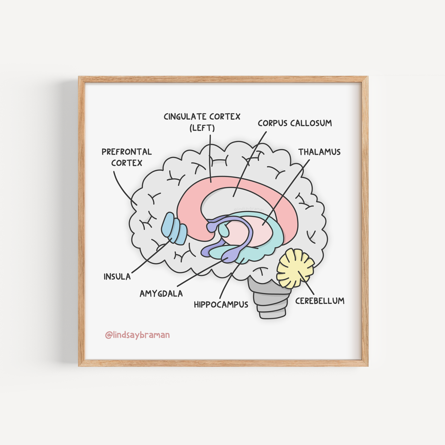 Art Print: Learning About the Brain (Anatomy)