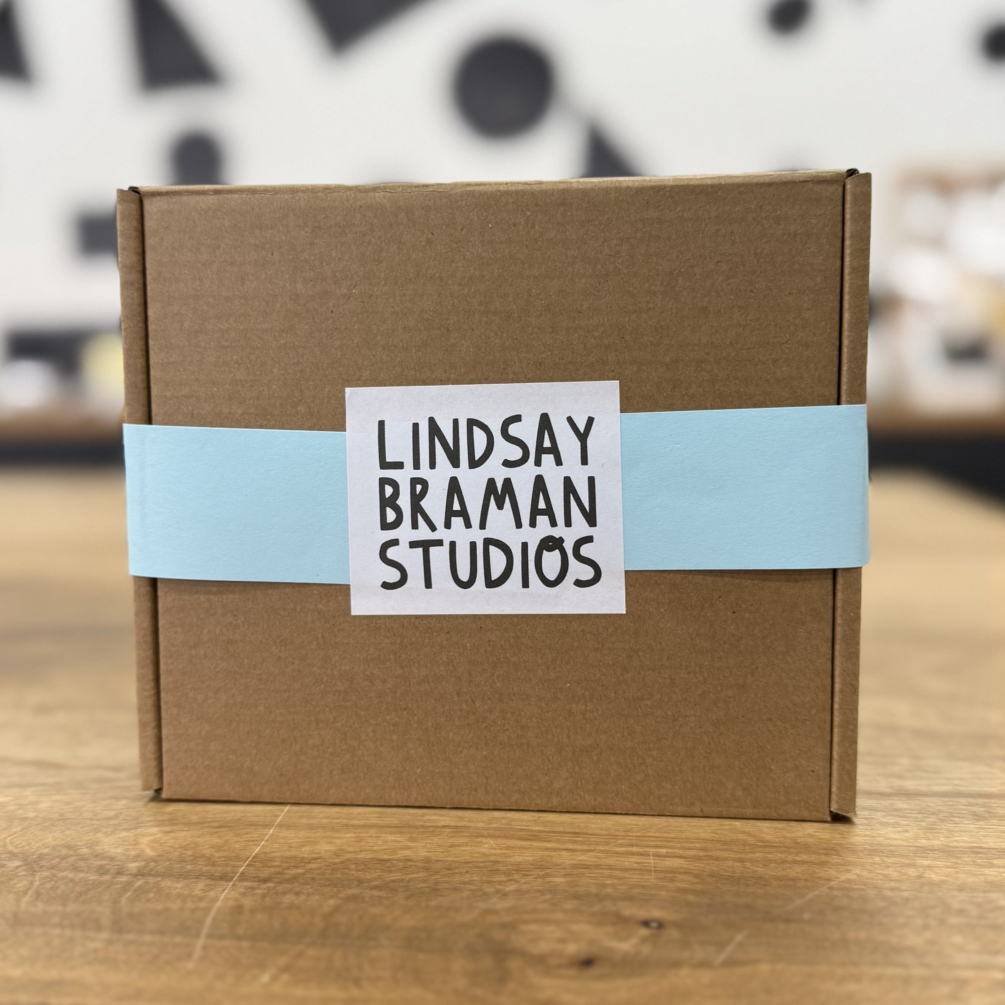 Lincy Pack Box Mystery Box – lindsaybraman