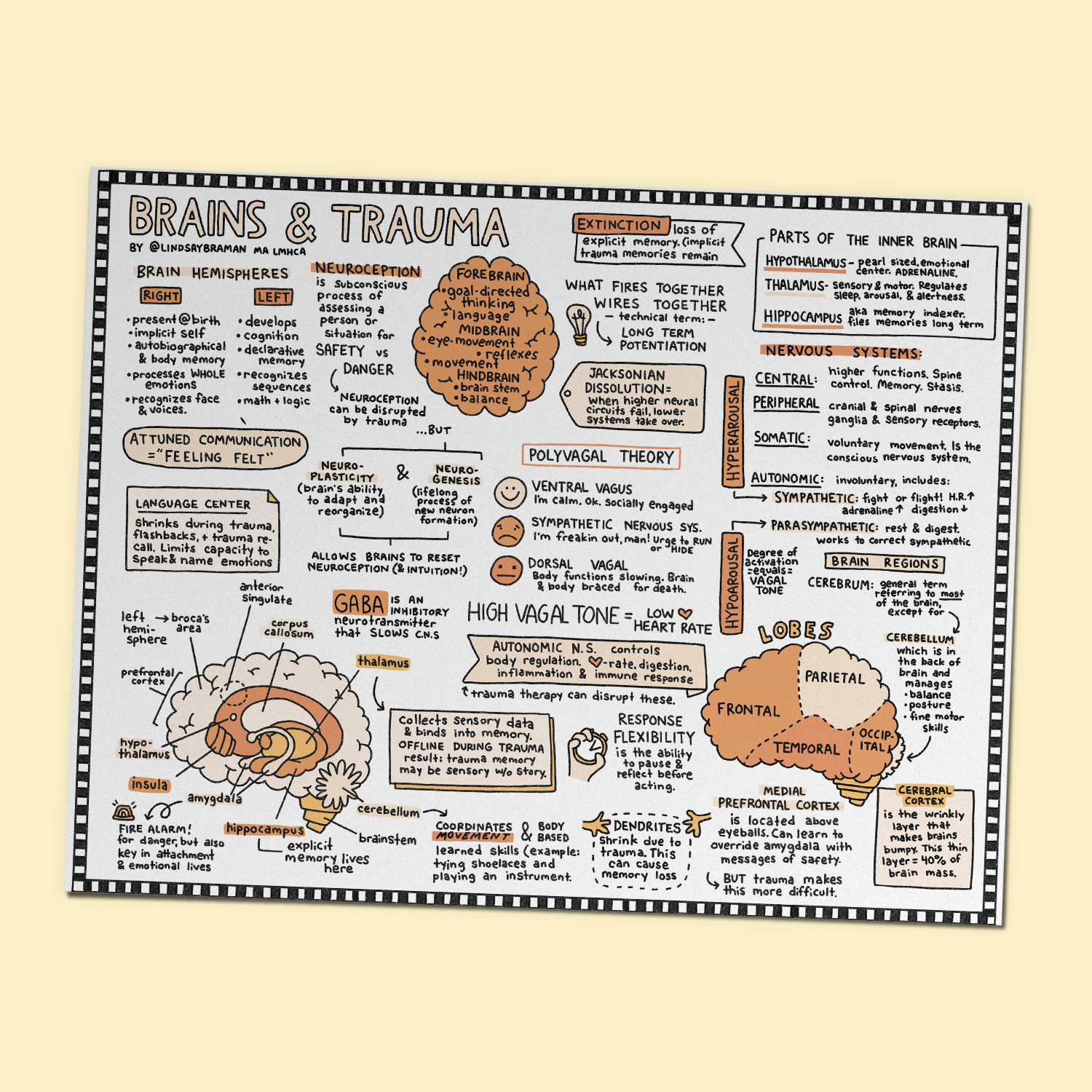 Printable PDF Download: Trauma and Brains | How Trauma Affects the Bra ...
