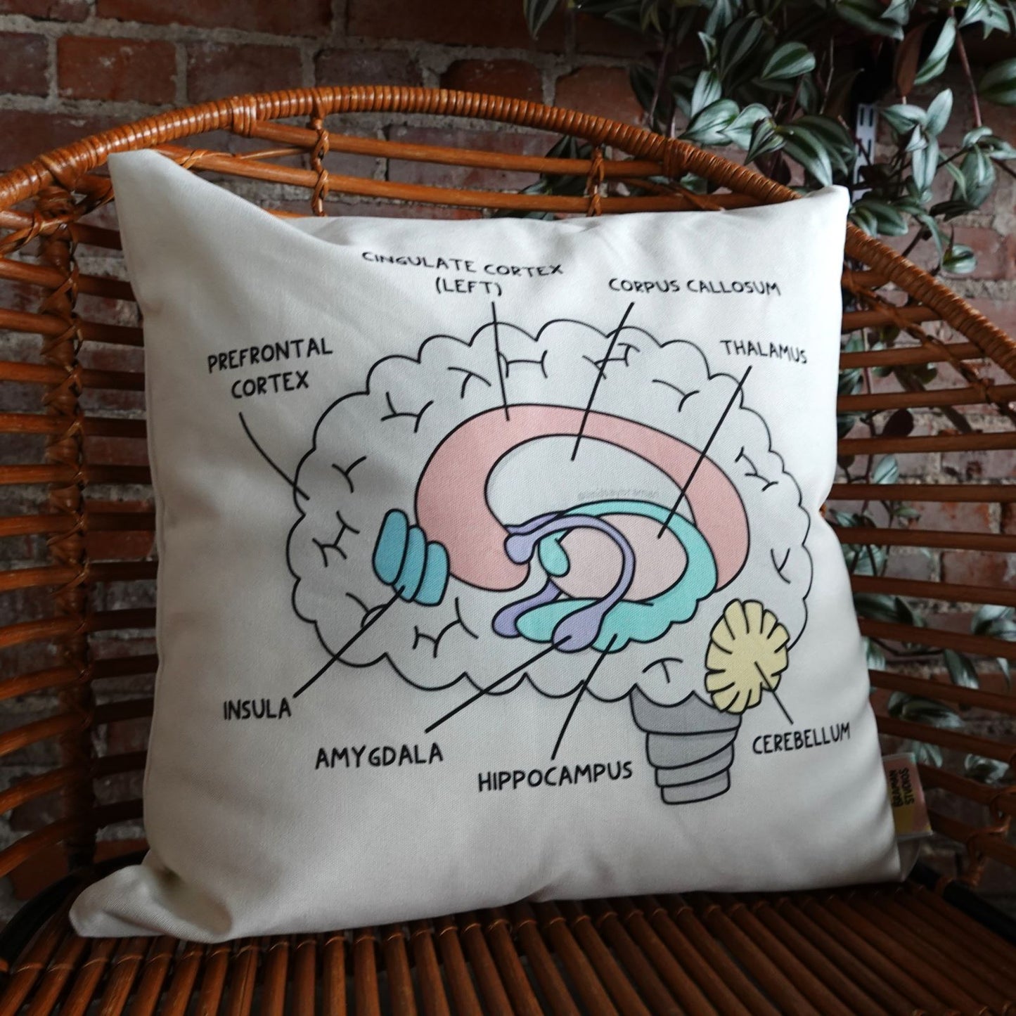 Pillowcase: Brain Anatomy | Resource for Home or Office
