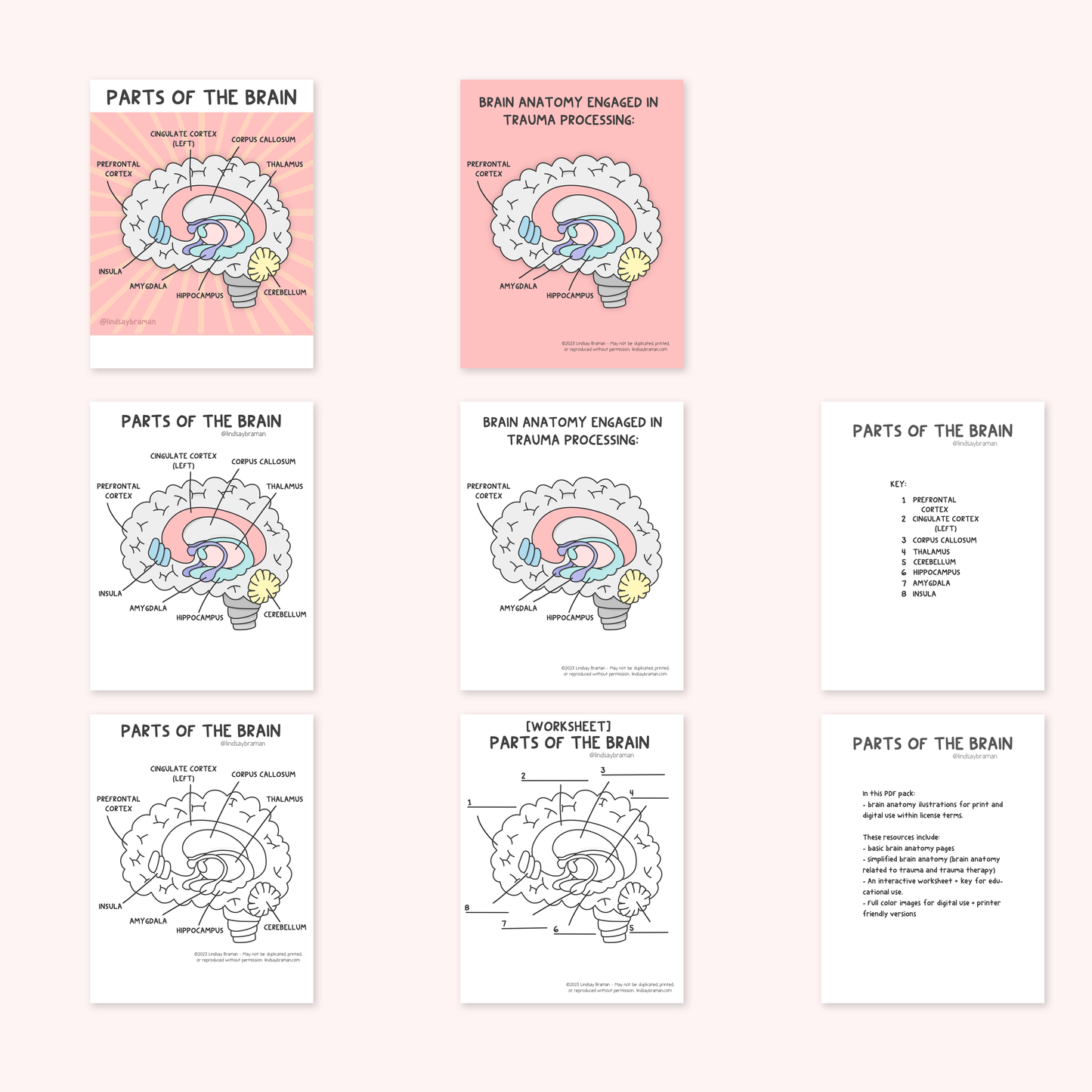 Printable PDF Download: Learning About the Brain | A Brain Anatomy Worksheet Set