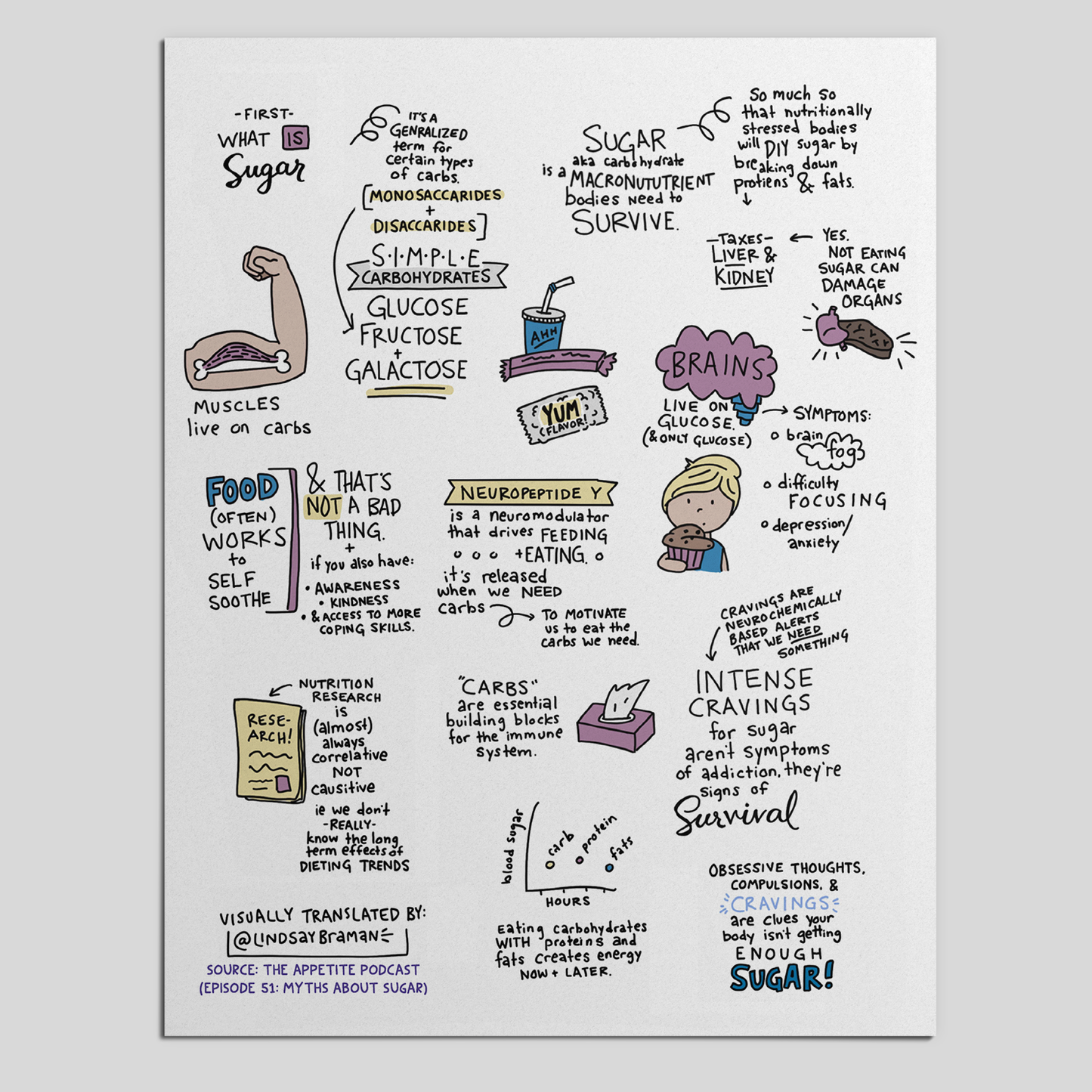 Printable PDF Download: Myths About Sugar | A Sketchnote on Sugar Addiction, from The Appetite Podcast